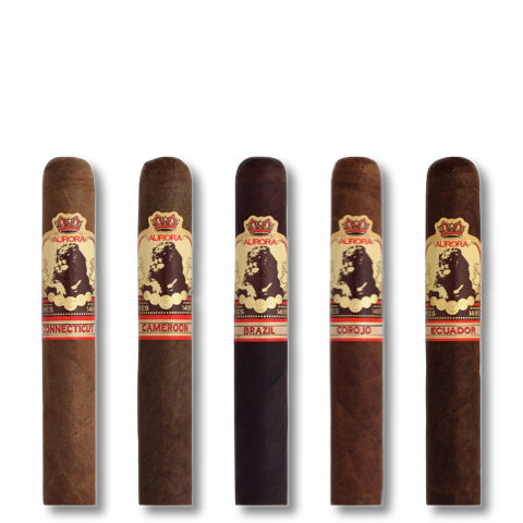 La Aurora 1495 Connoisseur Selection Sapmler, 5er