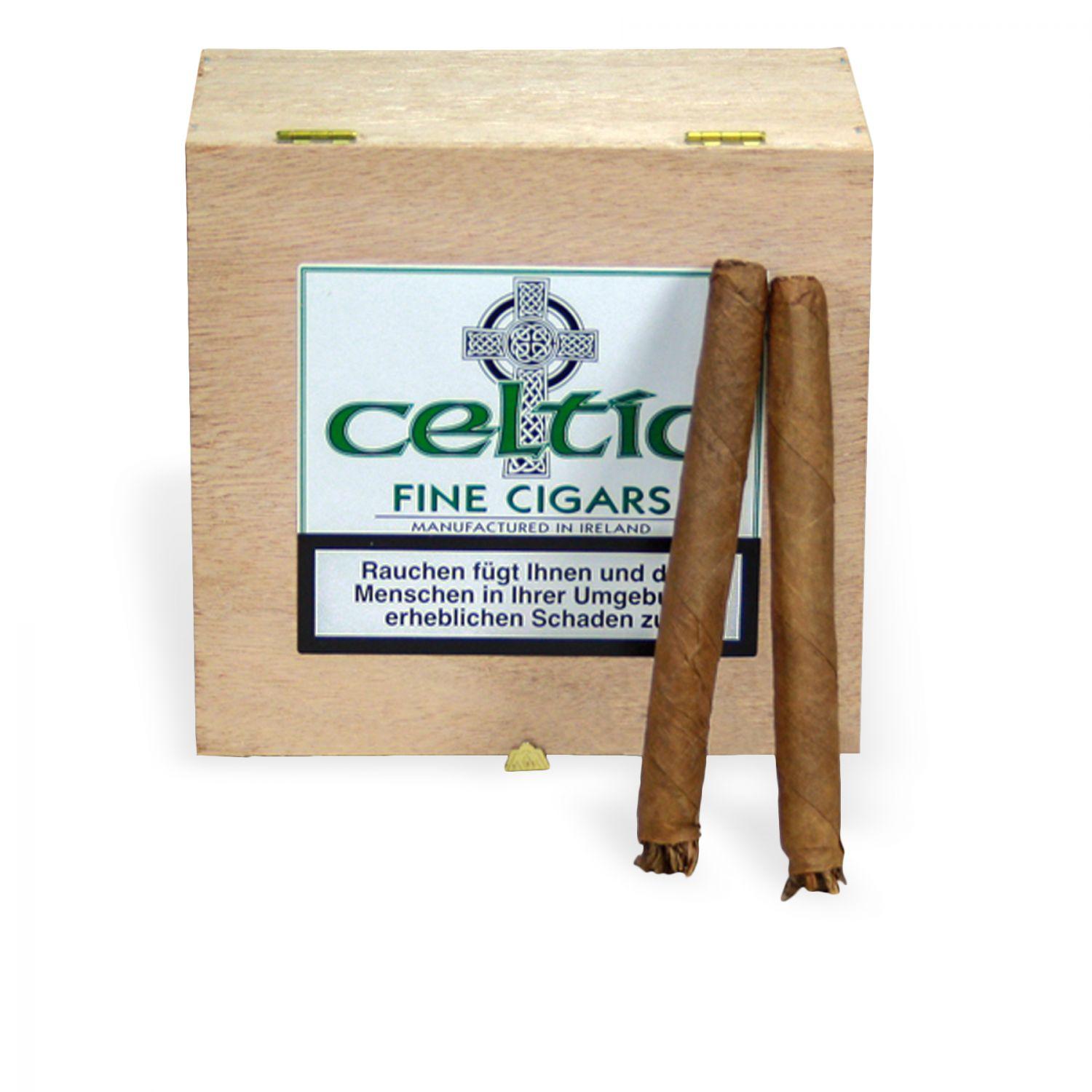 Celtic Wilde Cigarros Sumatra 50er Kiste